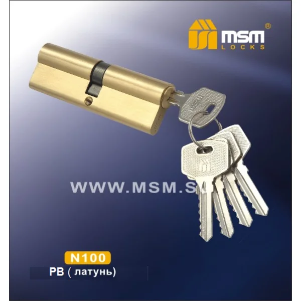 Цилиндр MSM N100 mm 50/50-3
